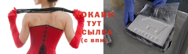сатива Мегион