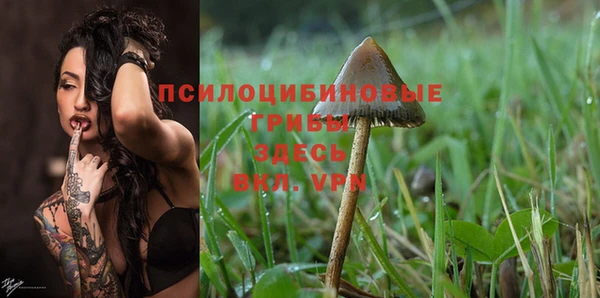 MESCALINE Медвежьегорск