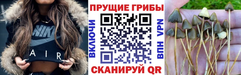 Псилоцибиновые грибы прущие грибы как найти закладки Окуловка